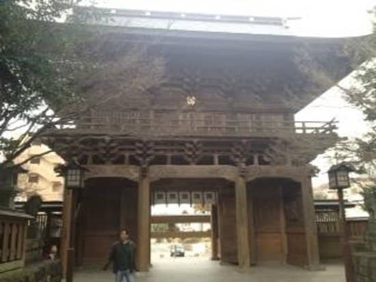 Vertical photo