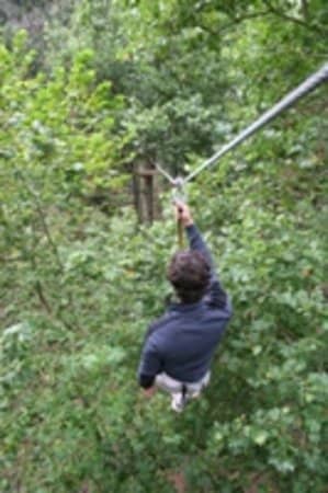 Vertical photo