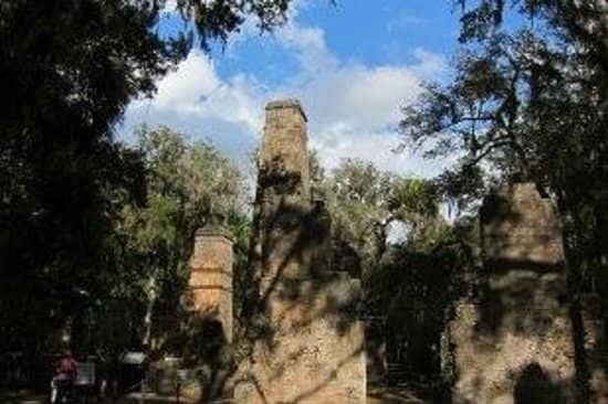 Live Oak Forest Trails