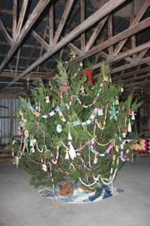 Living History Reenactments