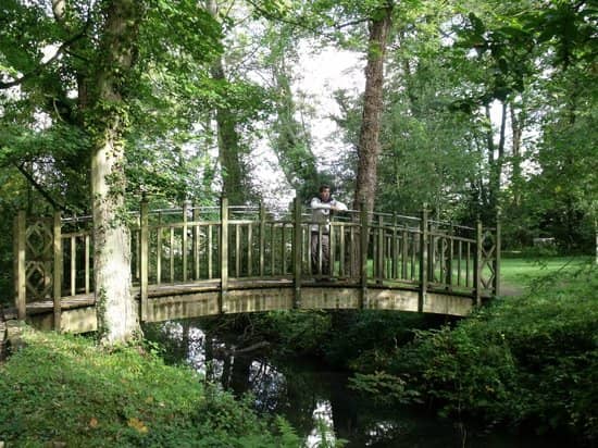 Woodland Walks