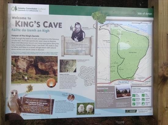 Scenic Woodland Hike