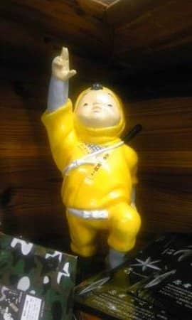 Medicinal Ninja Tea Tasting