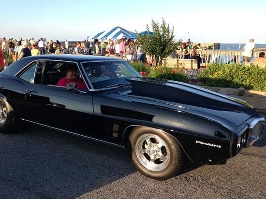 Drakes Beach Cliffs & Wildlife