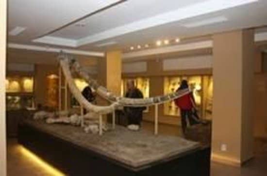 Interactive Displays