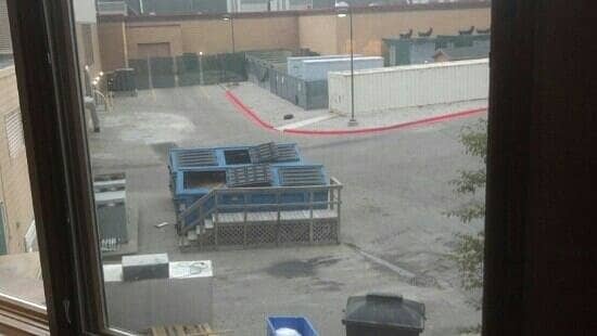 Diverse Dining Options