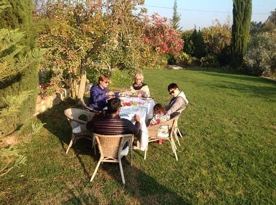 Vineyard Views & Wine Tasting