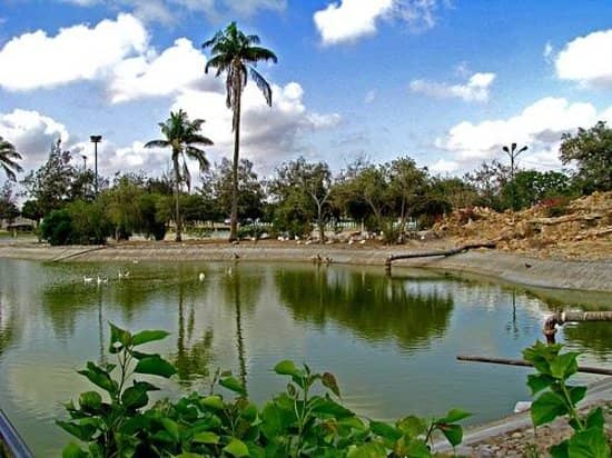 Fun City Amusement Area