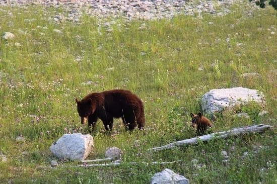 Scenic Mountain Vistas