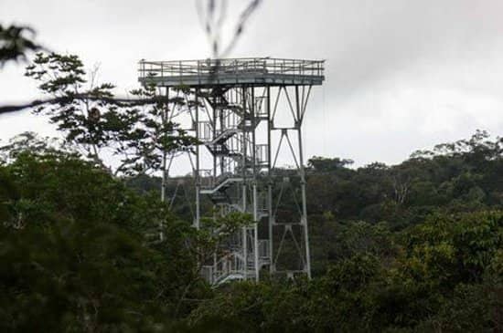 Pristine Primary Forest Trails