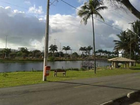 Holiday Light Spectacles