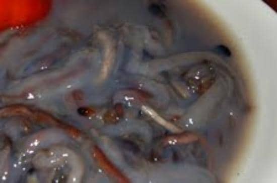 Cozy & Welcoming Ambiance