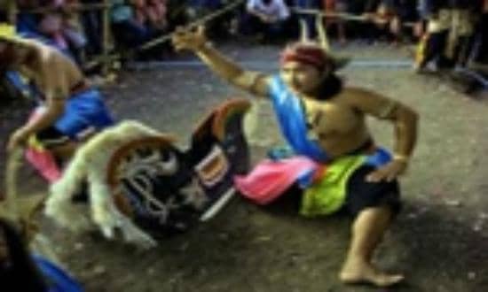 Terraced Rice Fields