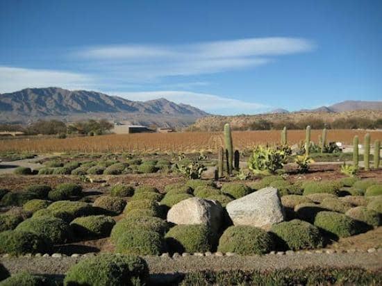 Historic Winery Charm