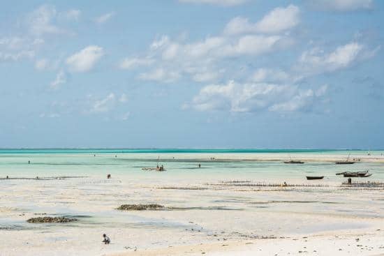 Dramatic Tidal Changes