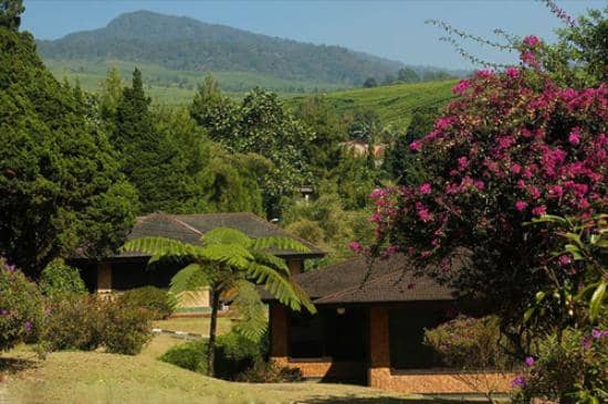 Navasari Premium Onsen