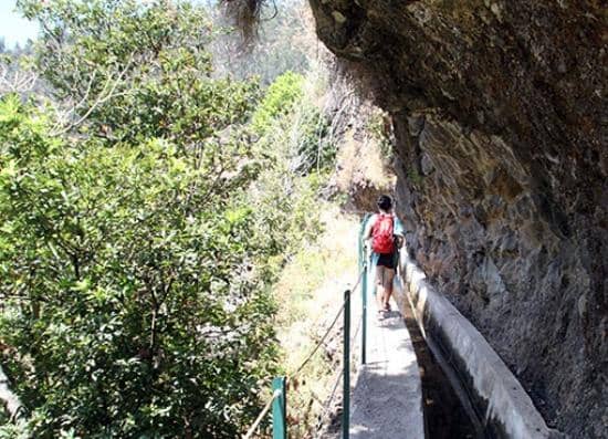Cabo Girão Skywalk Views