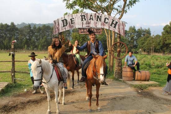 Cowboy-Themed Ambiance