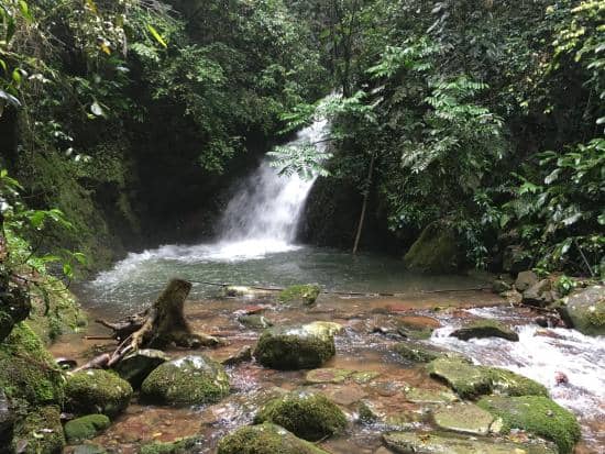 Cascading Waterfalls