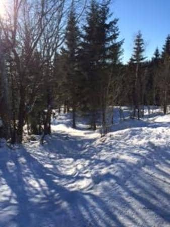 Scenic Train Ride Up