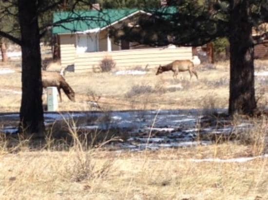 Scenic Views of The Stanley Hotel