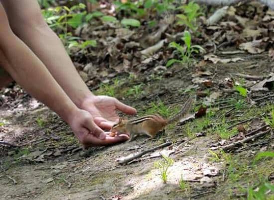 Lake Ontario Shoreline