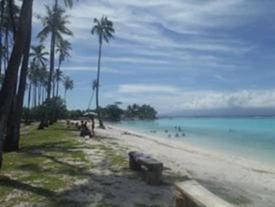 Abundant Marine Life