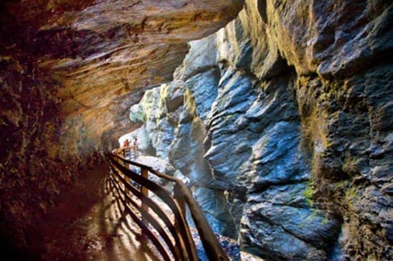 Vertical photo