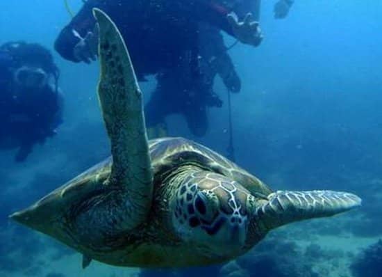 Water Activities Galore