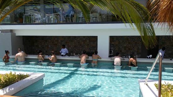 Vast Swim-Up Bars