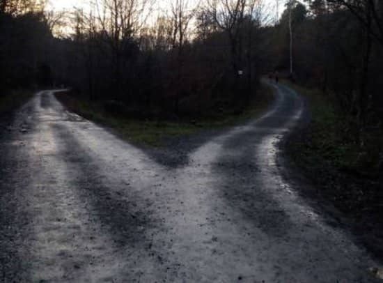 Native Wildlife Encounters