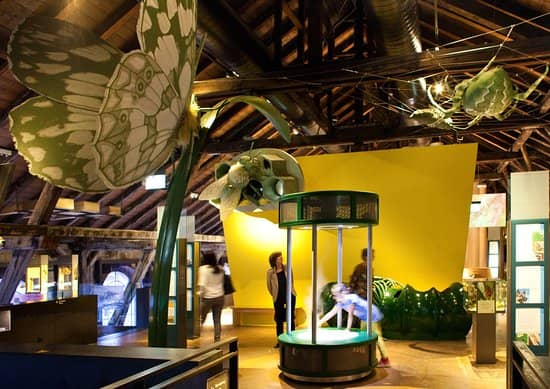 Children's Play Area