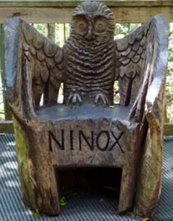 Guided Rainforest Tours