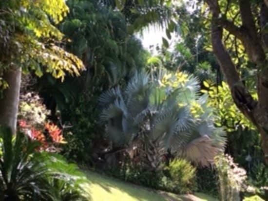 Exotic Flora Collection