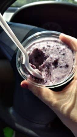 Farm Animal Encounters