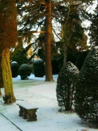 Diverse Local Exhibits