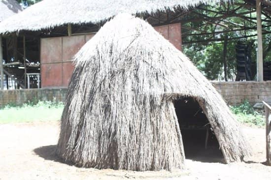 Cultural Performances