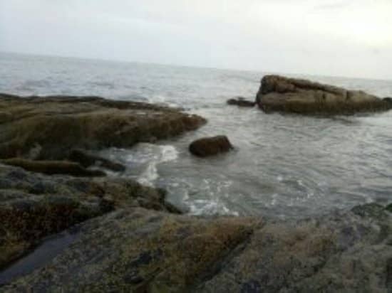 Tranquil Beach Walkway