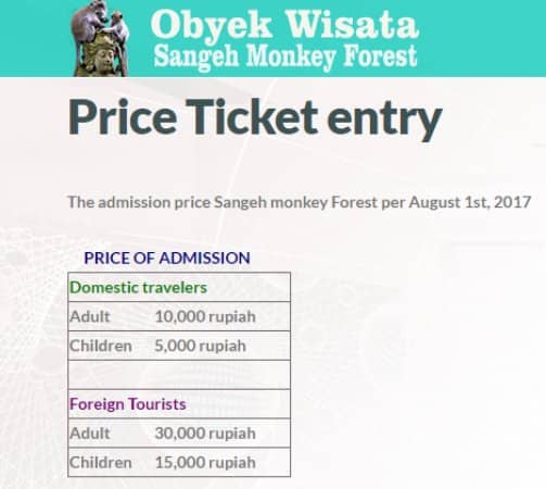 Playful Macaque Encounters