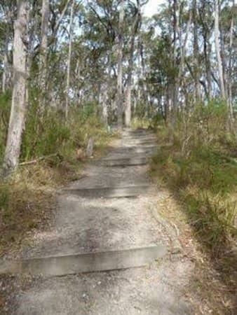 Wetland Walkway