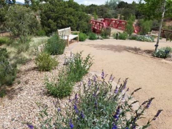 Artful Illuminations