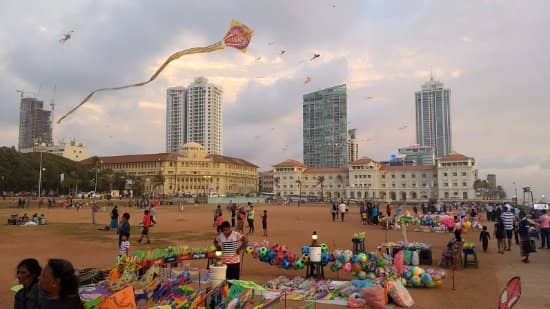 Kite Flying Fun