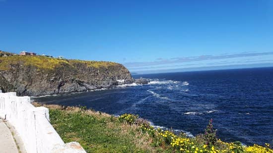 Coastal Walkway