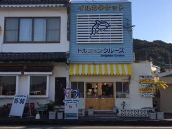 Accessible Dolphin Experience