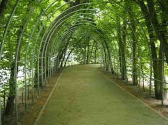 Iluminacje Szczecin Light Show