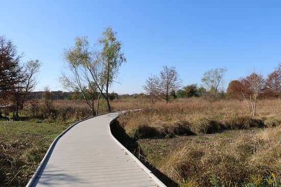 Marsh Trail Boardwalk