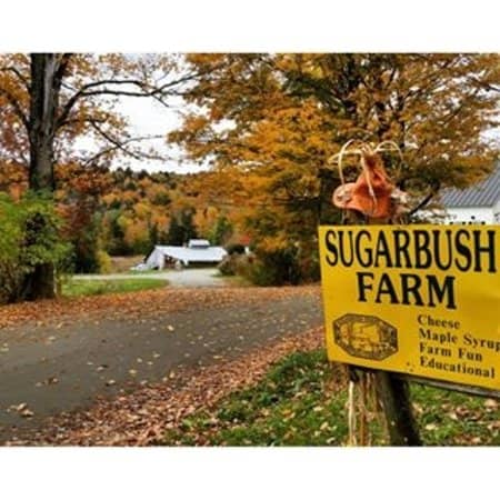 Family-Run Farm Atmosphere