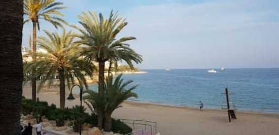 Palm-Lined Promenade