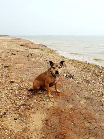 16th-Century Fort Ruins