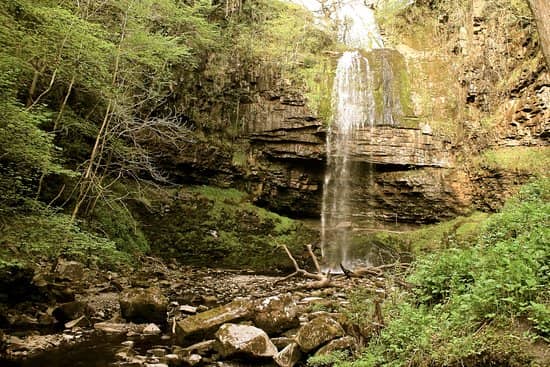 Scenic Woodland Trail